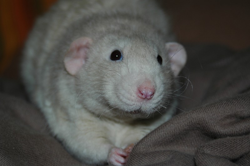 Snímek 050.jpg