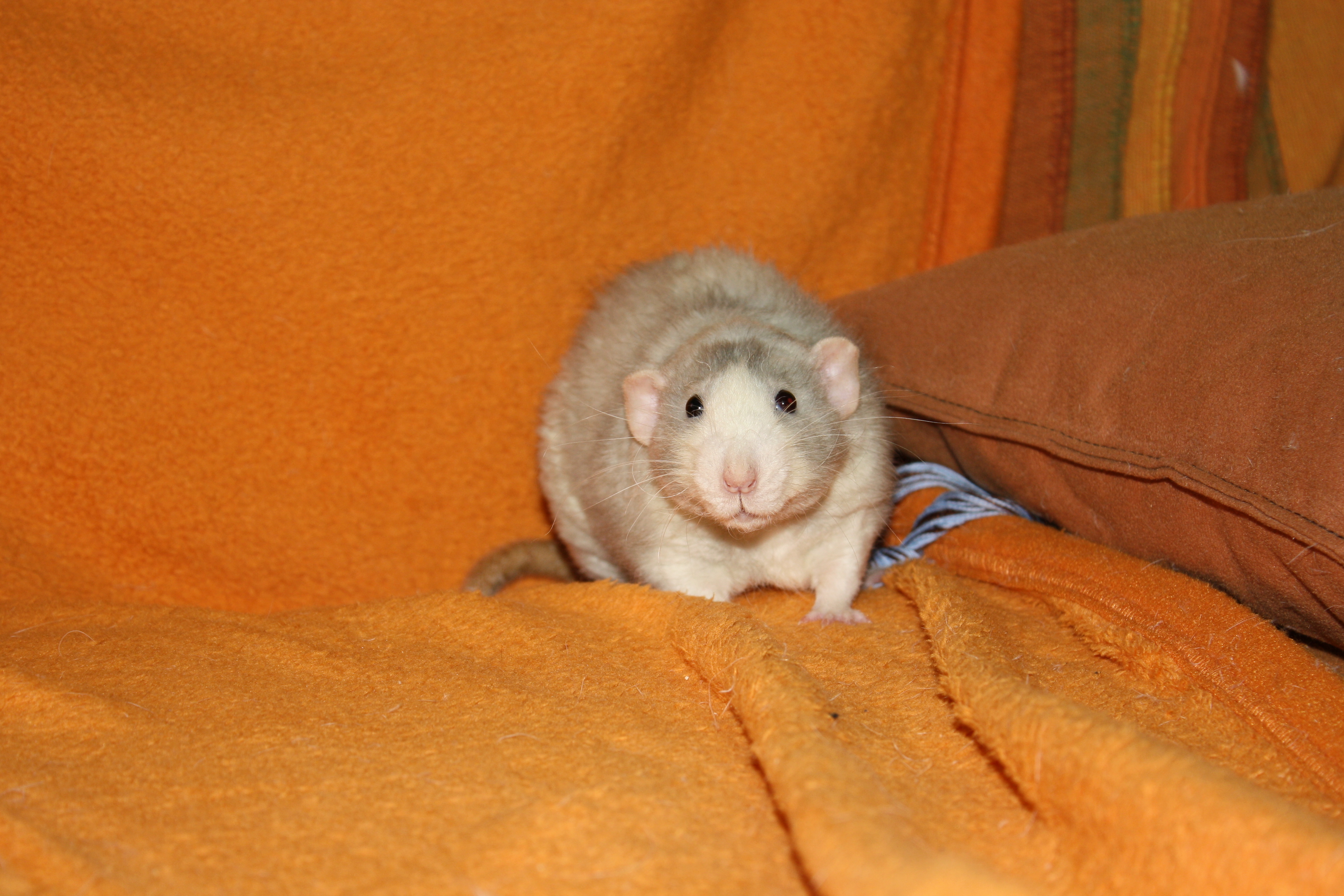 IMG_9879.jpg