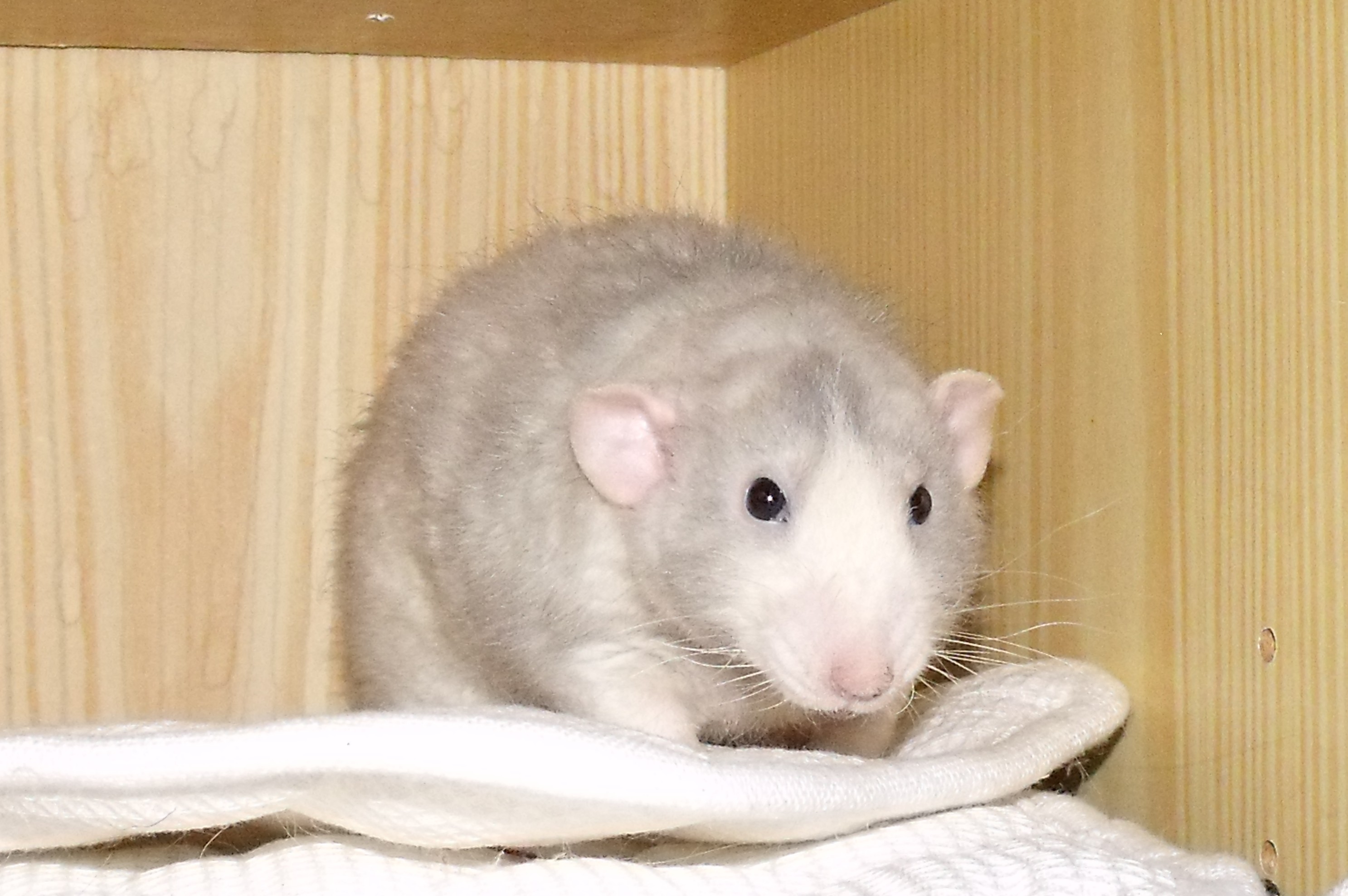 DSCF0631.jpg