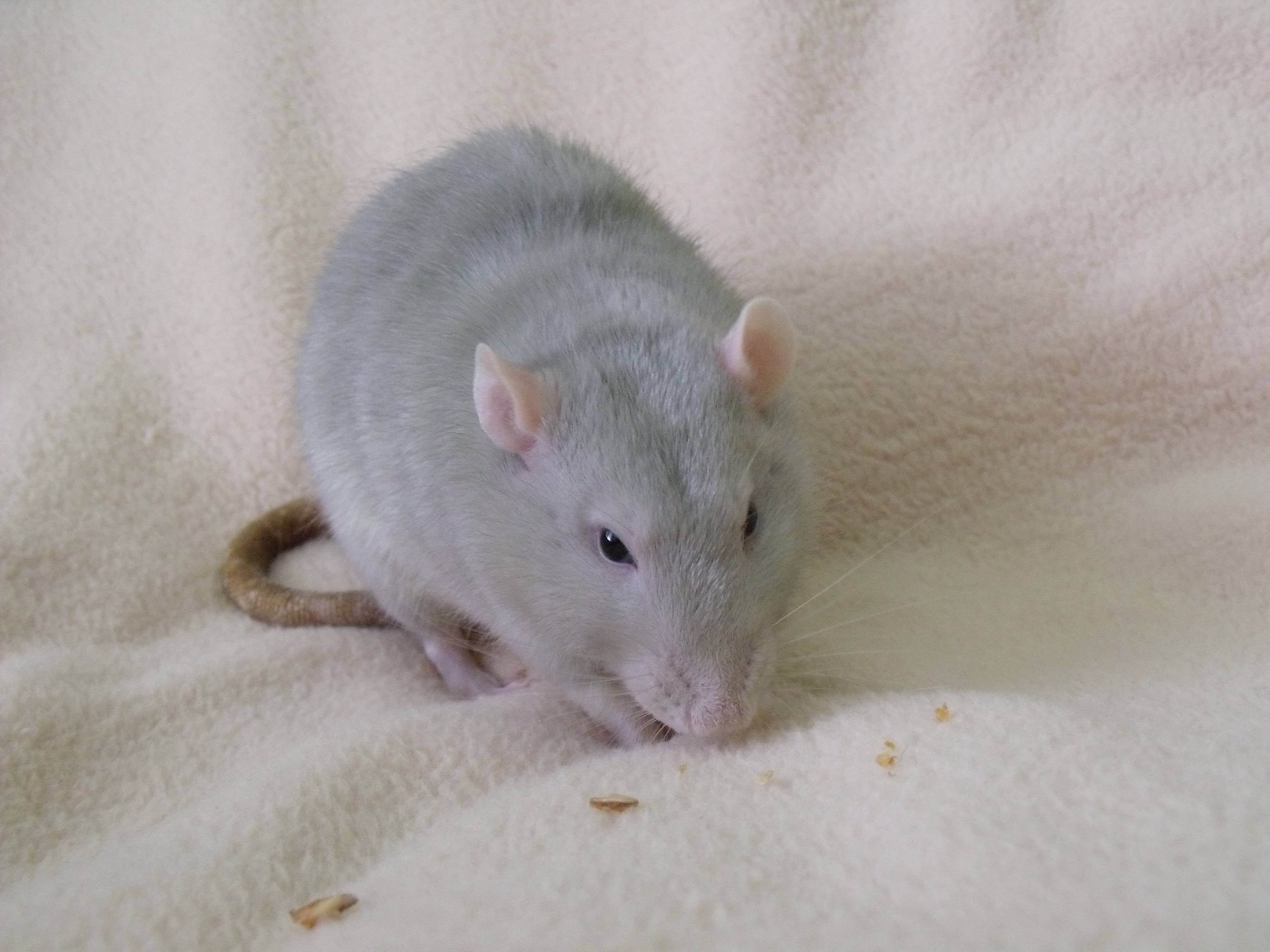 DSCF1473.jpg
