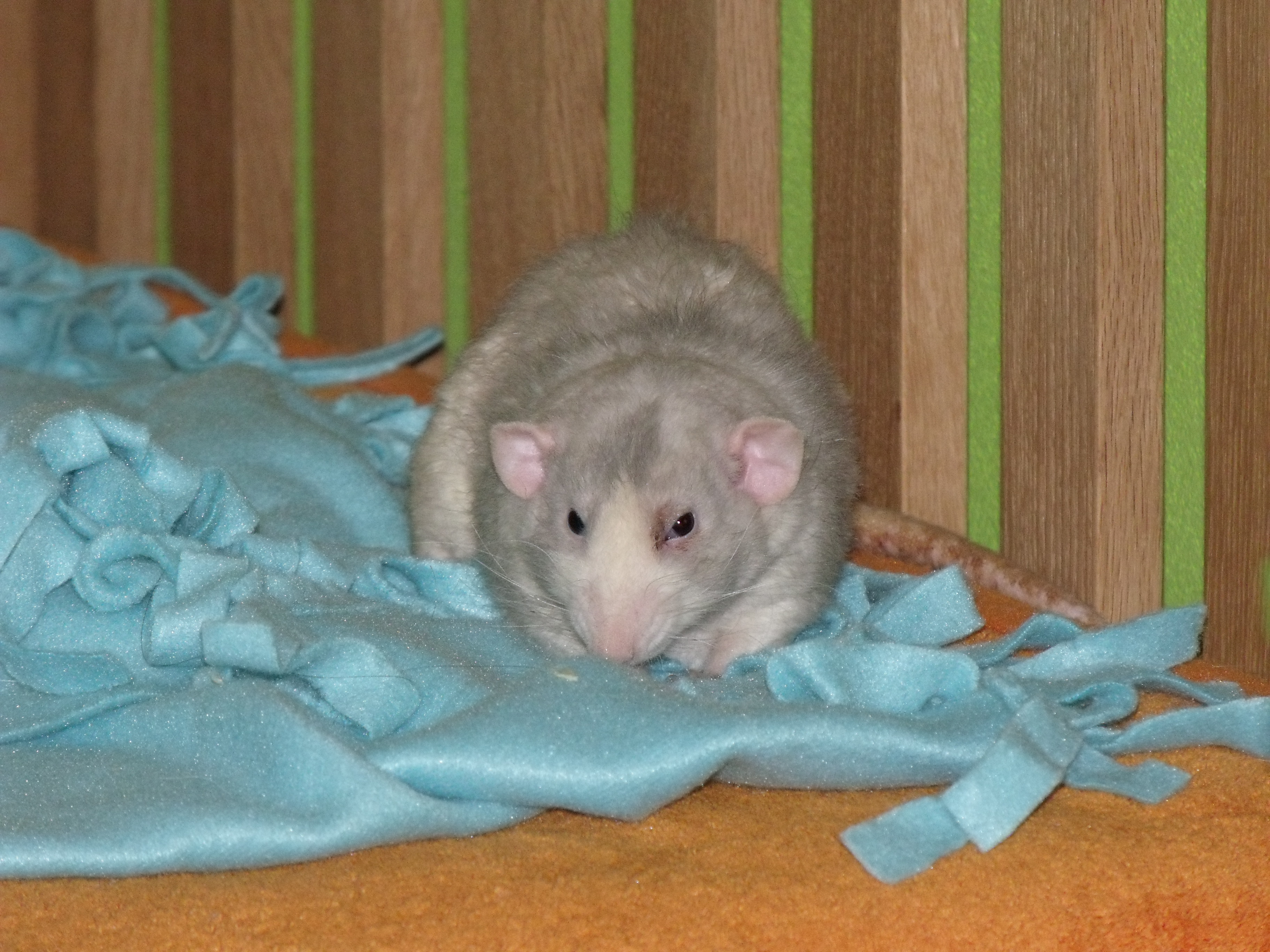 DSCF0793.jpg
