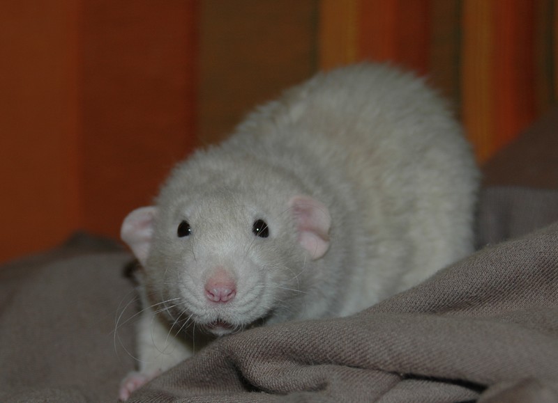 Snímek 048.jpg